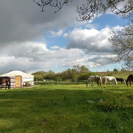 Mongolische Jurte Im Art.quartier * Velgast