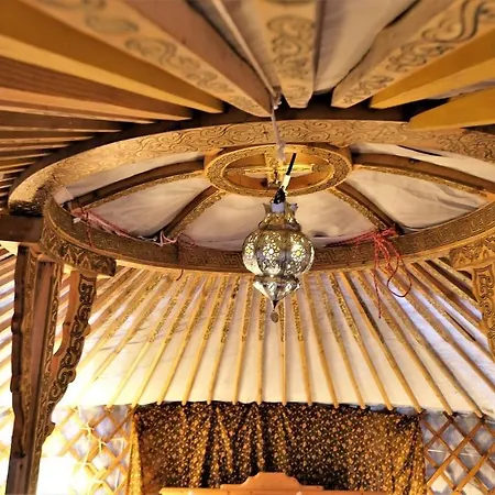 Luxussátor Mongolische Jurte Im Art.quartier Velgast