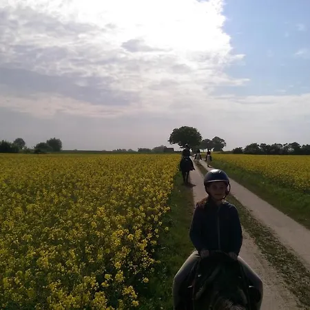 Mongolische Jurte Im Art.quartier * Velgast