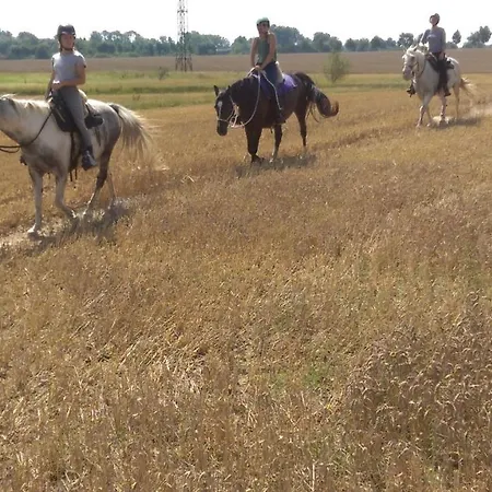 Mongolische Jurte Im Art.quartier Luxussátor *