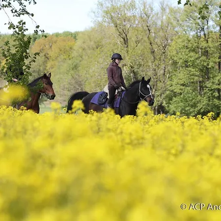 Роскошный шатер Mongolische Jurte Im Art.quartier