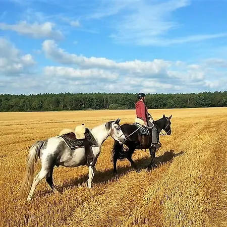 Mongolische Jurte Im Art.quartier *